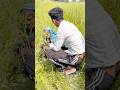 Wait for end😂😂 || #shortvideos #youtubeshorts || #viral #reels
