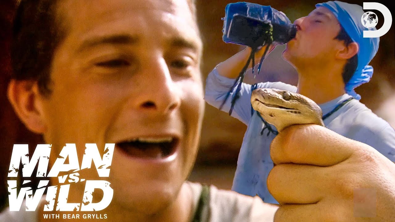 Bear Grylls, star of 'Treasure Island' and 'Man vs. Wild,' shares his  survival essentials