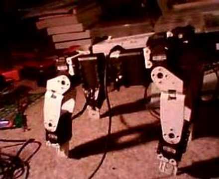 Bioloid 301 -- "myquad"