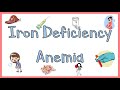 Iron Deficiency Anemia (IDA)) ; Causes, Pathophysiology, Signs & Symptoms, Diagnosis & Treatment