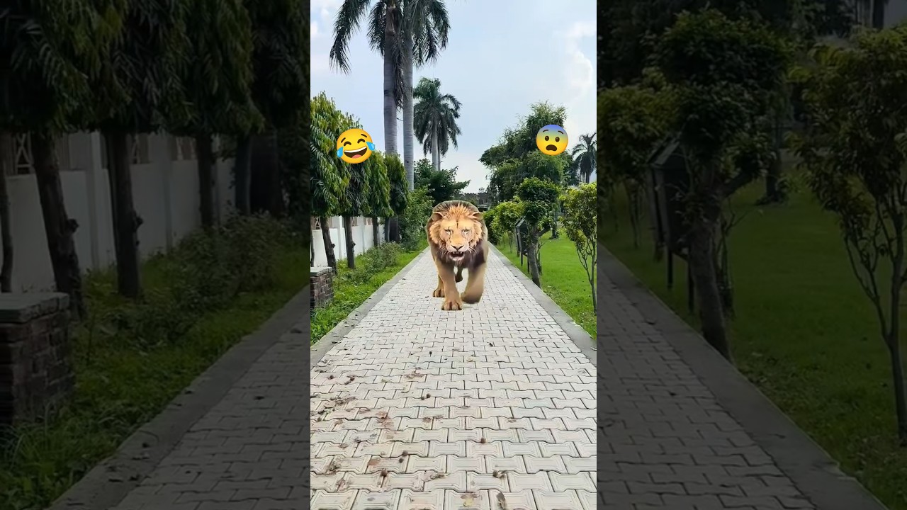 करिश्मा लाबी ने क्या दिखाया😨🦁funny #comedy #viral #trending #shortfeed #urk_suraj55