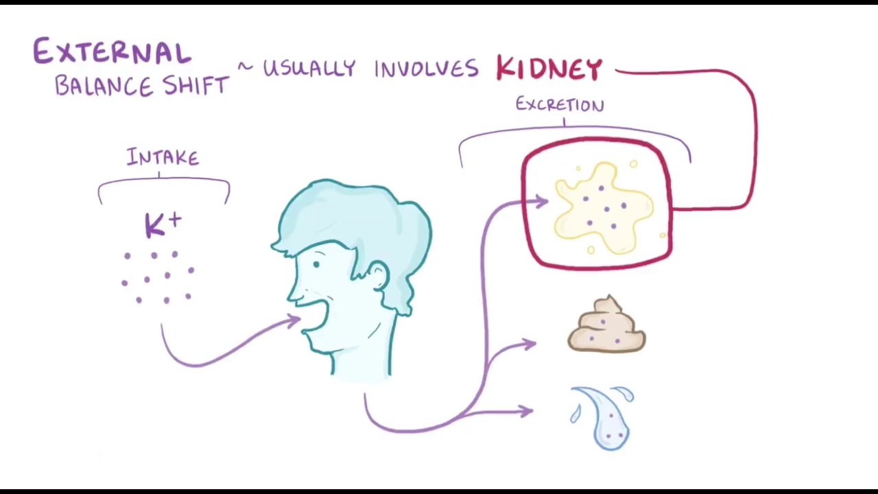 Hyperkalemia - causes, symptoms, diagnosis, treatment, pathology || #Electrolyte #science 