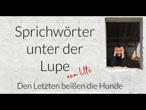 Sprichwörter unter der Lupe: Den Letzten beißen die Hunde
