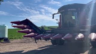 2018 Drago GT Corn Head