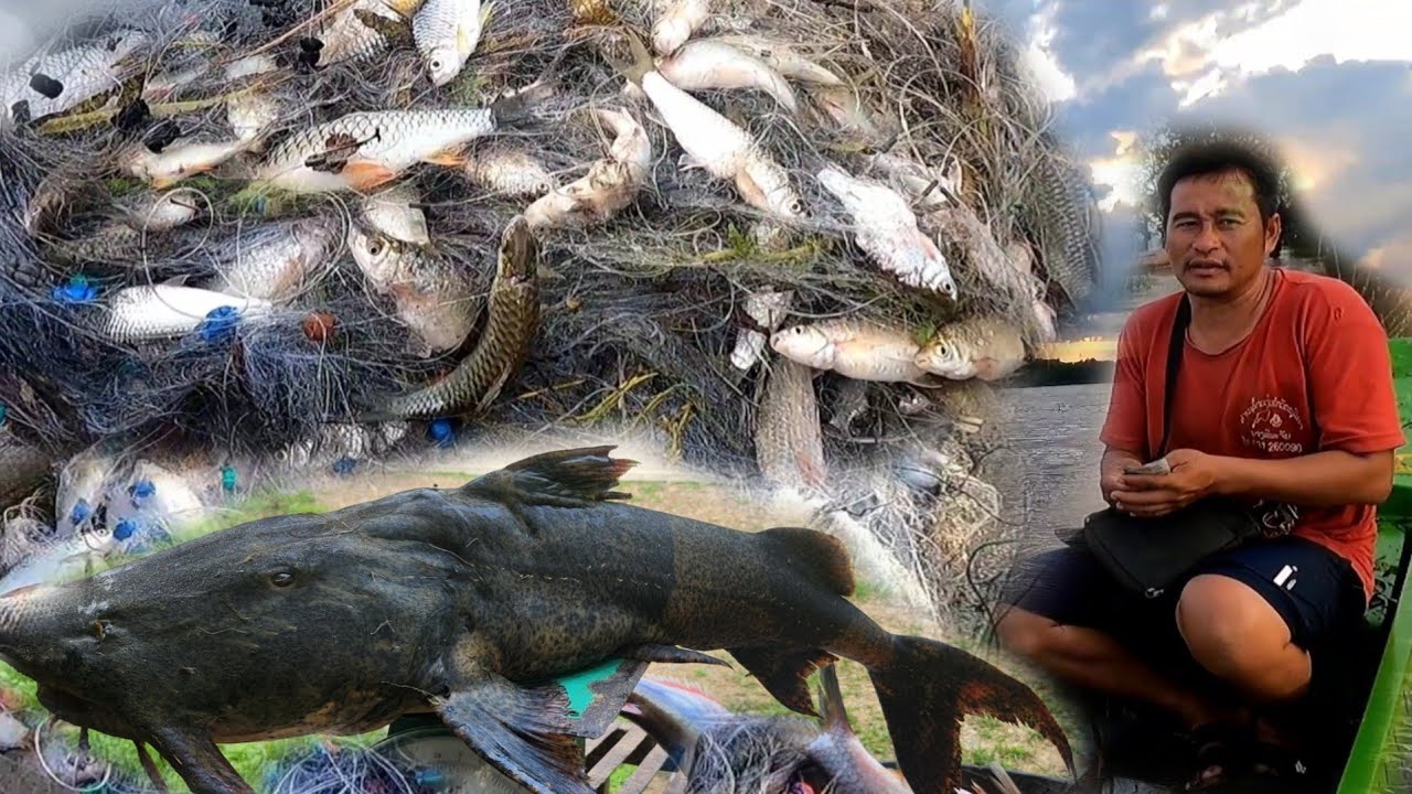 ແຫ່ລງຫາປາສຸດເຂດຊາຍແດນລາວ//แห่ลงหาปลาสุดเขตชายแดนลาว Dong Una