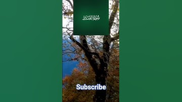 سوره القدر  القران
