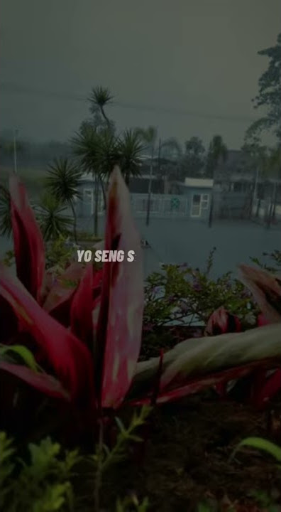 Story' wa kata kata Agus kotak
