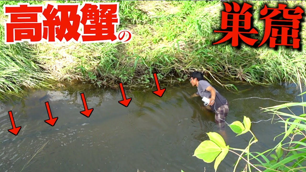 水路の隙間に罠を丁寧に仕掛けると・・！？