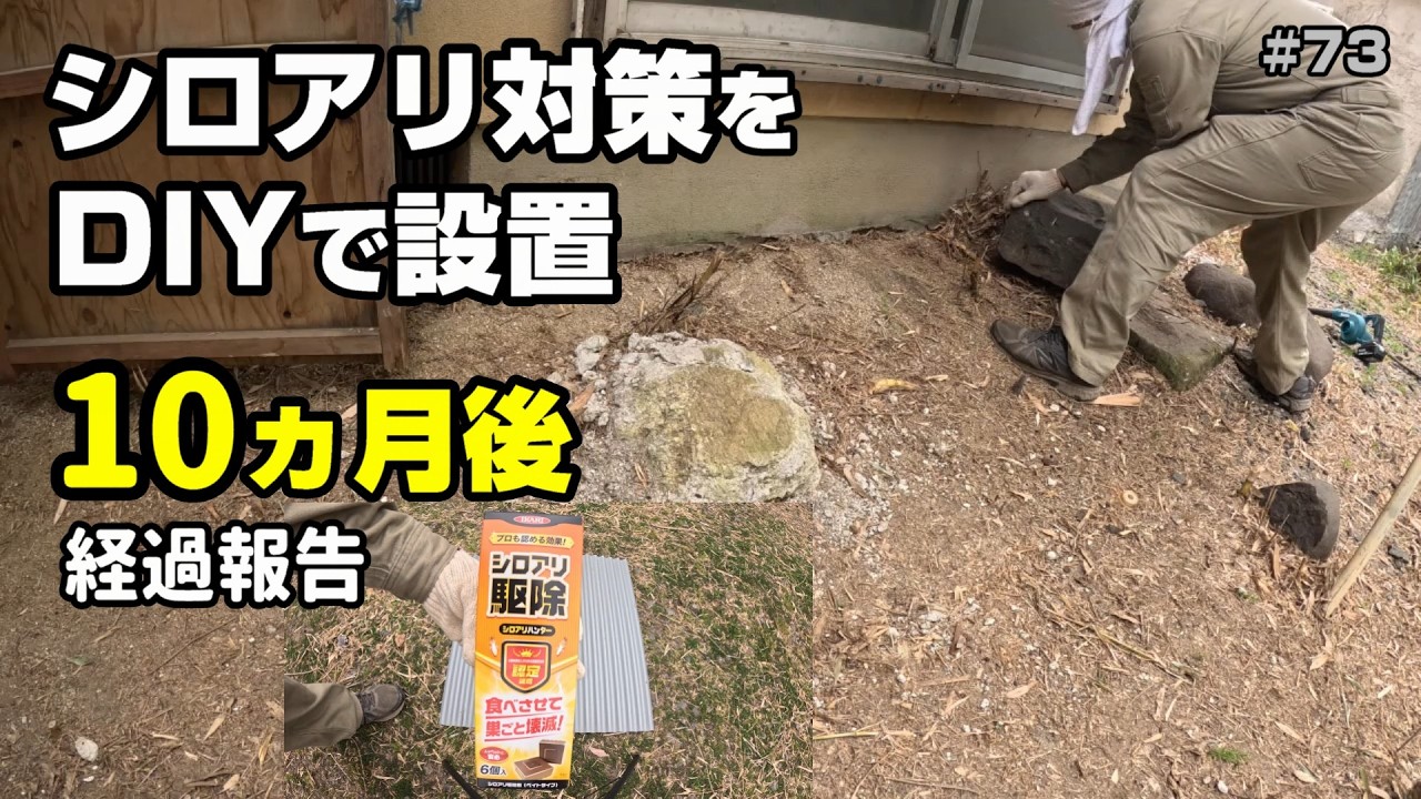 シロアリ対策をDIYでやった結果（ベイト工法）【空き家再生＃73】