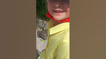 Девочка и черепаха)))) Турция