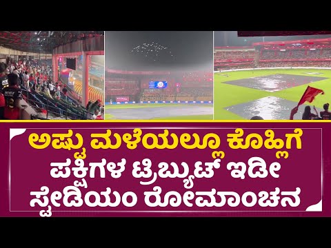 ಅಷ್ಟು ಮಳೆಯಲ್ಲೂ ಕೊಹ್ಲಿಗೆ ಪಕ್ಷಿಗಳ ಟ್ರಿಬ್ಯುಟ್ ಇಡೀ ಸ್ಟೇಡಿಯಂ ರೋಮಾಂಚನ | Chinnaswamy Stadium | Virat| SStv ಅಷ್ಟು ಮಳೆಯಲ್ಲೂ ಕೊಹ್ಲಿಗೆ ಪಕ್ಷಿಗಳ ಟ್ರಿಬ್ಯುಟ್ ಇಡೀ ಸ್ಟೇಡಿಯಂ ರೋಮಾಂಚನ | Chinnaswamy Stadium | Virat| SStv