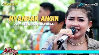 NYANDAK ANGIN - VOC. LIYAH VANDELLAH - NEW VANDELLAH LIVE DESA SURAKARTA SURANENGGALA CIREBON