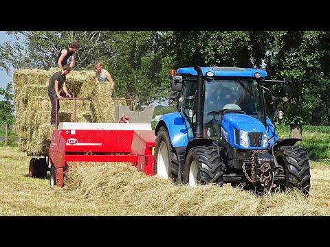 Pressing Bales | New Holland T6.140 + Lely Welger AP 730 | Balen Persen | Erik Van Essen | 2017.