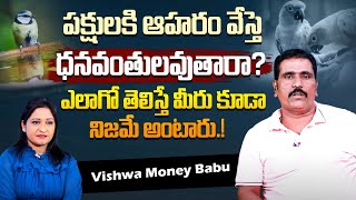 Does Feeding Animals Make Us Success? | Vishwa Money Babu | Powerful Money Affirmations | SocialPost