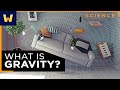 General Relativity and Gravity | What Einstein Discovered