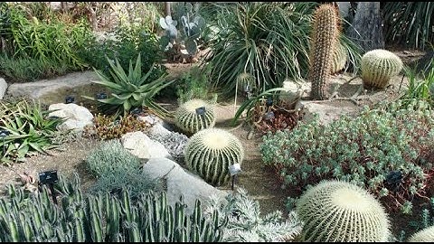 Царство растений. 3 серия из 3. Выживание / Survival