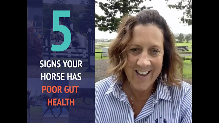 5 Signs Your Horse Has Poor Gut Health