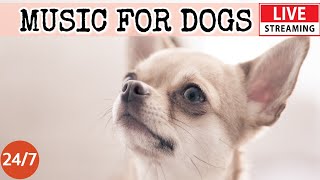 [LIVE] Dog Music🎵Relaxing Music to Relieve Dog Stress🐶🎵Dog Sleep Music💖Dog Calming Music Video🔴2-2 screenshot 5