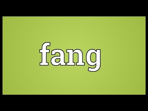 Fang Meaning