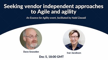 Seeking vendor independent approaches to Agile and agility