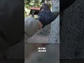 Daughter Calls 911 on Dad Wielding a Samurai Sword