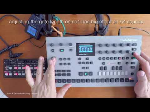 ANALOG 4 TUTORIAL 3 - flow, polymeter polyrhythm. #Elektron Korg #SQ1 Continuous jam