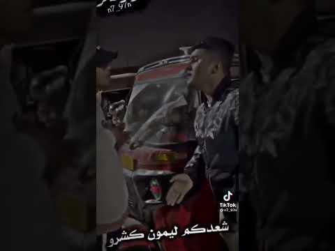 أره سجاد أره اره