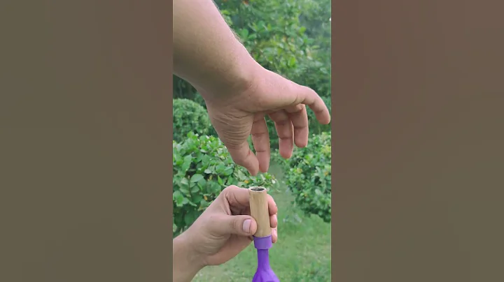 DIY Bamboo Creation with Colourful Balloon Slingleshot #Diy #Slingshot #Bamboo