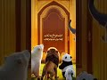 🌳 The Secret Jungle Door 🐺✨ | The Weak Wolf Who Became a Hero!
