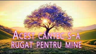 Cântecul care a cucerit inimile a milioane de oameni—Dumnezeu este întotdeauna aproape de copiii Săi