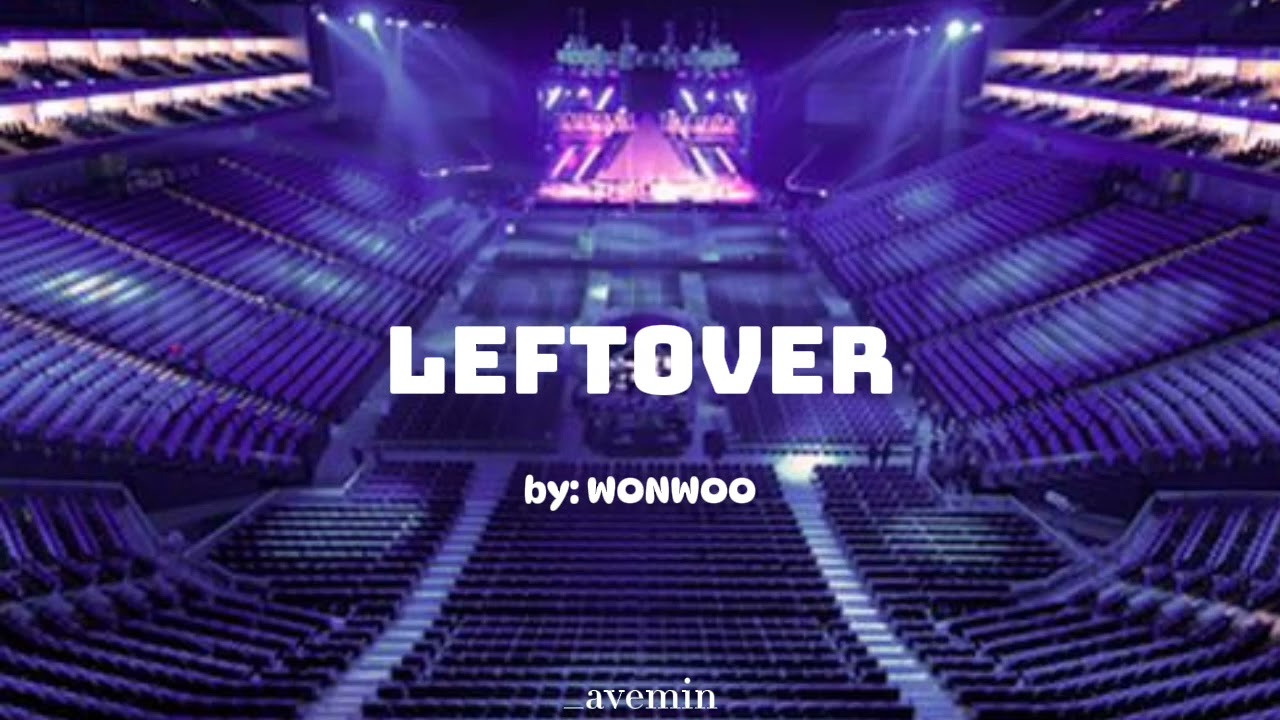 Leftover - WONWOO | but you're in an empty arena