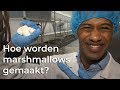 Hoe worden marshmallows gemaakt? | Vragen van Kinderen
