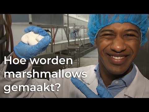 Video: Hoe En Waarvan Worden Marshmallows Gemaakt