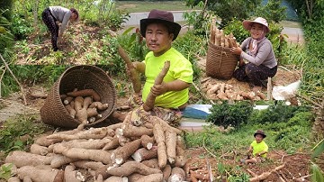 hnub no kuv tus niam tsev wb mus khawb qos ntoo los tau pub qaib pub os 26/05/2021