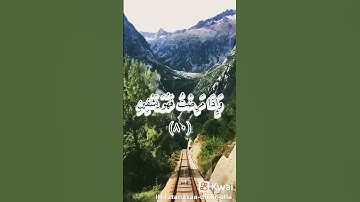 لا تنسى ذكر الله❤القرآن الكريم
