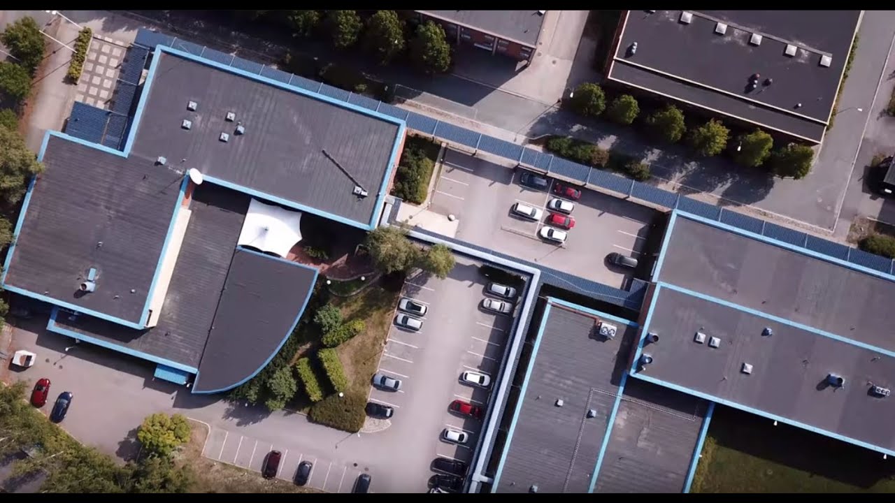 Hirviö hanat videot