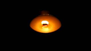 Notcot Dayna Decker Chandel Crackling