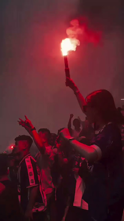 Maung Geulis Champions Again @persibofficial #shorts #shortvideo #bobotoh #trending