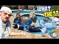 ANIMAL POOL PARTY! (FV Family Vlog)