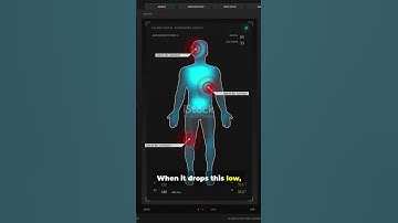 Pulse Oxygen Level Tracker App