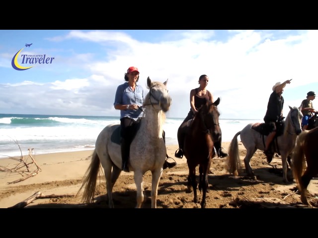Sea Horse Ranch Horseback Riding Tours - Equestrian Center Sosua Cabarete