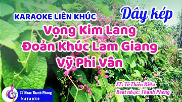 Karaoke liên khúc vọng kim lang I Đoản khúc lam giang I Vỹ phi vân