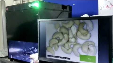 Foreign Object detection in Cashews