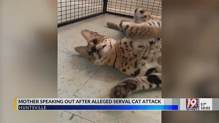 Watch the video about Mother, Carole Baskin Speak Out after Alleged Serval Attack