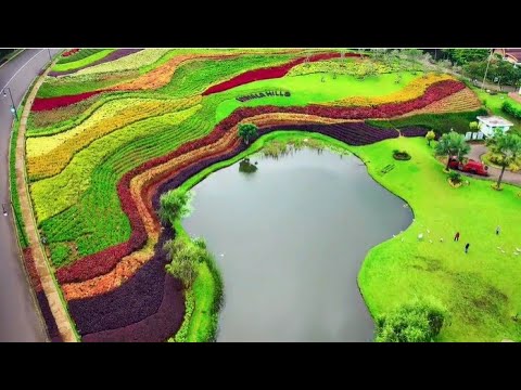 relaxing-music-for-calm-life-and-nice-time-beautiful-panorama-nature🧡💛💚-,-جمال-الطبيعه-الخلابه