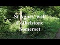 St agnes medieval well and pixie stream at cothelstone in somerset