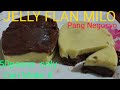 JELLY FLAN MILO |  Pang Negosyo | HOWTo Make Leche GULAMAN |Easy Dessert