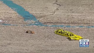 Man fatally shot Sunday outside Algiers apartment complex, NOPD says