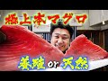 極上の天然本マグロと養殖マグロの違いがわかるのか？違いがわかる男たち【おじ寿司】開店！