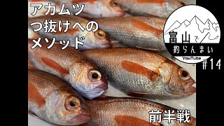 【高級魚】アカムツメソッド、前半戦【つ抜け】